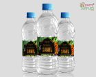 Lion King Theme Water Bottle Stickers For Cheap