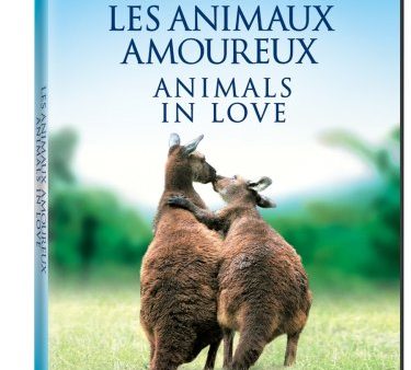 ANIMALS IN LOVE   LES ANIMAUX AMOUREUX (BILINGUAL) Hot on Sale